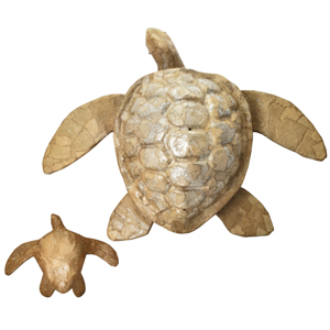 Baby Turtle $99 Adult Turtle $295